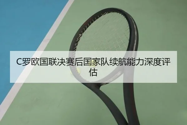 luo-ou-guo-lian-jue-sai-hou-guo-jia-dui-xu-hang-neng-li-shen-du-ping-gu-2-343.jpg
